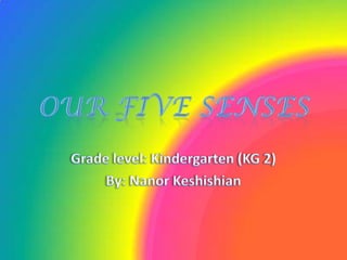 Presentation our five senses | PPTX