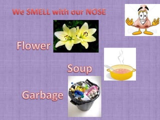 Presentation our five senses | PPTX