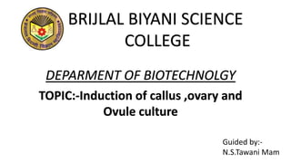 BRIJLAL BIYANI SCIENCE
COLLEGE
DEPARMENT OF BIOTECHNOLGY
TOPIC:-Induction of callus ,ovary and
Ovule culture
Guided by:-
N.S.Tawani Mam
 