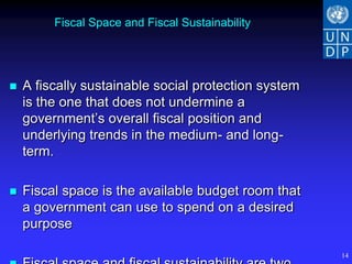 Fiscal Space and Fiscal Sustainability




   A fiscally sustainable social protection system
    is the one that does not undermine a
    government’s overall fiscal position and
    underlying trends in the medium- and long-
    term.

   Fiscal space is the available budget room that
    a government can use to spend on a desired
    purpose

                                                      14
 