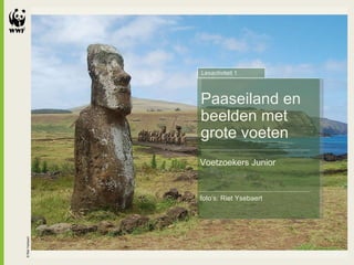 © Riet Ysebaert Paaseiland en beelden met grote voeten Voetzoekers Junior Lesactiviteit 1 foto’s: Riet Ysebaert 