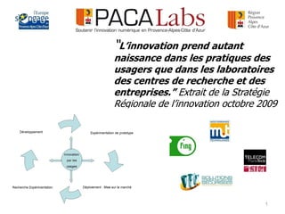 “L’innovation prend autant
naissance dans les pratiques des
usagers que dans les laboratoires
des centres de recherche et des
entreprises.” Extrait de la Stratégie
Régionale de l’innovation octobre 2009




                                   1
 