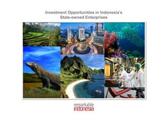 Investment Opportunities in Indonesia’s
State-owned Enterprises
 