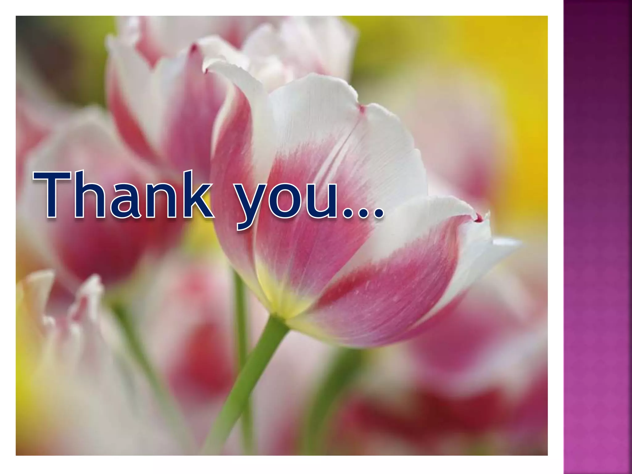  Differences between Elinor and Mairnne