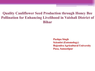 Quality Cauliflower Seed Production through Honey Bee
Pollination for Enhancing Livelihood in Vaishali District of
Bihar
Pushpa Singh
Scientist (Entomology)
Rajendra Agricultural University
Pusa, Samastipur
 