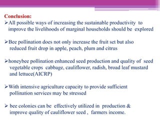 Quality cauliflower Seed Production through Honey Bee Pollination for ...