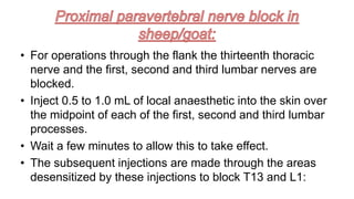 • For operations through the flank the thirteenth thoracic
nerve and the first, second and third lumbar nerves are
blocked.
• Inject 0.5 to 1.0 mL of local anaesthetic into the skin over
the midpoint of each of the first, second and third lumbar
processes.
• Wait a few minutes to allow this to take effect.
• The subsequent injections are made through the areas
desensitized by these injections to block T13 and L1:
 