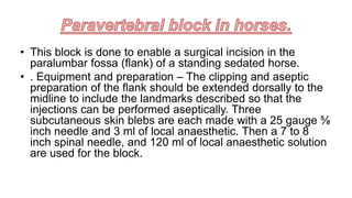 • This block is done to enable a surgical incision in the
paralumbar fossa (flank) of a standing sedated horse.
• . Equipment and preparation – The clipping and aseptic
preparation of the flank should be extended dorsally to the
midline to include the landmarks described so that the
injections can be performed aseptically. Three
subcutaneous skin blebs are each made with a 25 gauge ⅝
inch needle and 3 ml of local anaesthetic. Then a 7 to 8
inch spinal needle, and 120 ml of local anaesthetic solution
are used for the block.
 
