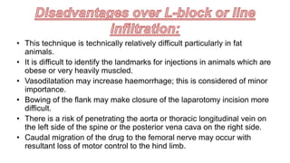 • This technique is technically relatively difficult particularly in fat
animals.
• It is difficult to identify the landmarks for injections in animals which are
obese or very heavily muscled.
• Vasodilatation may increase haemorrhage; this is considered of minor
importance.
• Bowing of the flank may make closure of the laparotomy incision more
difficult.
• There is a risk of penetrating the aorta or thoracic longitudinal vein on
the left side of the spine or the posterior vena cava on the right side.
• Caudal migration of the drug to the femoral nerve may occur with
resultant loss of motor control to the hind limb.
 