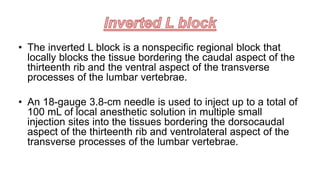 • The inverted L block is a nonspecific regional block that
locally blocks the tissue bordering the caudal aspect of the
thirteenth rib and the ventral aspect of the transverse
processes of the lumbar vertebrae.
• An 18-gauge 3.8-cm needle is used to inject up to a total of
100 mL of local anesthetic solution in multiple small
injection sites into the tissues bordering the dorsocaudal
aspect of the thirteenth rib and ventrolateral aspect of the
transverse processes of the lumbar vertebrae.
 