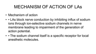 MECHANISM OF ACTION OF LAs
• Mechanism of action
• • LAs block nerve conduction by inhibiting influx of sodium
ions through ion-selective sodium channels in nerve
membrane leading to impairment of the generation of
action potential.
• • The sodium channel itself is a specific receptor for local
anesthetic molecules.
 