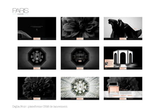 Dajlia Noir : plateforme CRM de lancement
 
