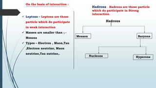 particle physics.pdf