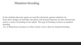 Mutation breeding
In this methods physicals agents are used like chemicals, gamma radiations etc.
Since these changes are heritable, the plants with desired charecters are then selected and
used as a source in breeding of new plants. This type of breeding is known as mutation
breeding.
-Ex: in Mung bean resistance to yellow mosaic virus is done by mutation breeding.
 