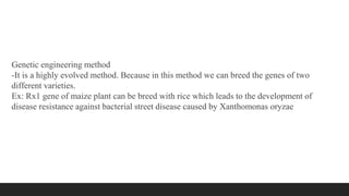 Genetic engineering method
-It is a highly evolved method. Because in this method we can breed the genes of two
different varieties.
Ex: Rx1 gene of maize plant can be breed with rice which leads to the development of
disease resistance against bacterial street disease caused by Xanthomonas oryzae
 