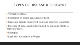 TYPES OF DISEASE RESISTANCE
Vertical resistance:
Controlled by major genes (one or two).
Genes are readily transferred from one genotype to another
Presence of genes can be determined by exposing plants to
particular races.
Example:
Leaf Rust Resistance in Wheat
 