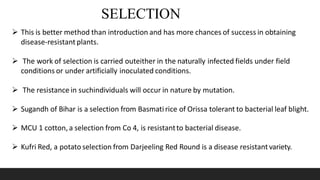 SELECTION
 This is better method than introduction and has more chances of success in obtaining
disease-resistant plants.
 The work of selection is carried outeither in the naturally infected fields under field
conditions or under artificially inoculated conditions.
 The resistance in suchindividuals will occur in nature by mutation.
 Sugandh of Bihar is a selection from Basmati rice of Orissa tolerant to bacterial leaf blight.
 MCU 1 cotton, a selection from Co 4, is resistantto bacterial disease.
 Kufri Red, a potato selection from Darjeeling Red Round is a disease resistant variety.
 