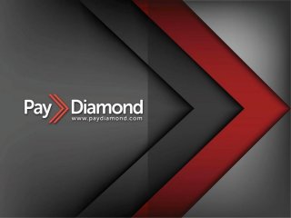 Presentation Pay Diamond Business Plan (English-US)