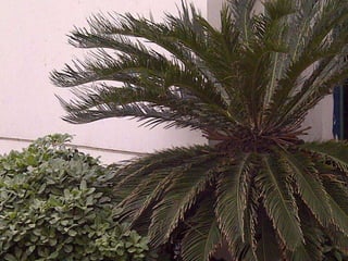 Presentation pbl day