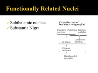  Subthalamic nucleus
 Substantia Nigra
 