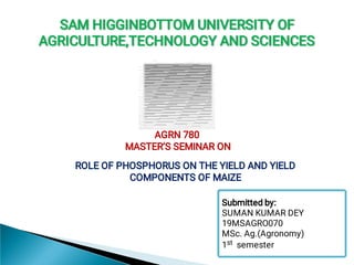 SAM HIGGINBOTTOM UNIVERSITY OF
AGRICULTURE,TECHNOLOGY AND SCIENCES
AGRN 780
MASTER’S SEMINAR ON
ROLE OF PHOSPHORUS ON THE YIELD AND YIELD
COMPONENTS OF MAIZE
Submitted by:
SUMAN KUMAR DEY
19MSAGRO070
MSc. Ag.(Agronomy)
1st semester
 