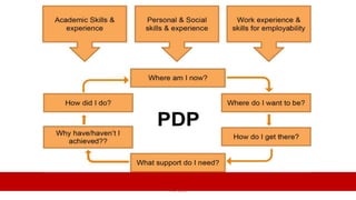 Presentation PDP.pptx