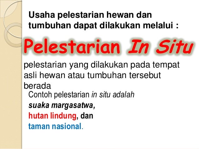 Pelestarian mahluk hidup