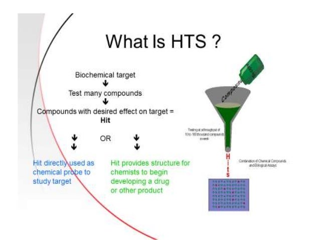 process ppt p Technology HIGH SCREENING THROUGHPUT process ppt p Technology HIGH SCREENING THROUGHPUT