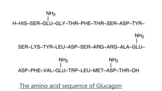 The amino acid sequence of Glucagon
 