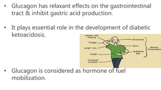 • Glucagon has relaxant effects on the gastrointestinal
tract & inhibit gastric acid production.
• It plays essential role in the development of diabetic
ketoacidosis.
• Glucagon is considered as hormone of fuel
mobilization.
 