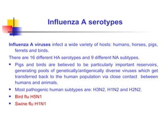 Flu Serotypes Lidiya Angelova-Duleva PhD thesis | PPT