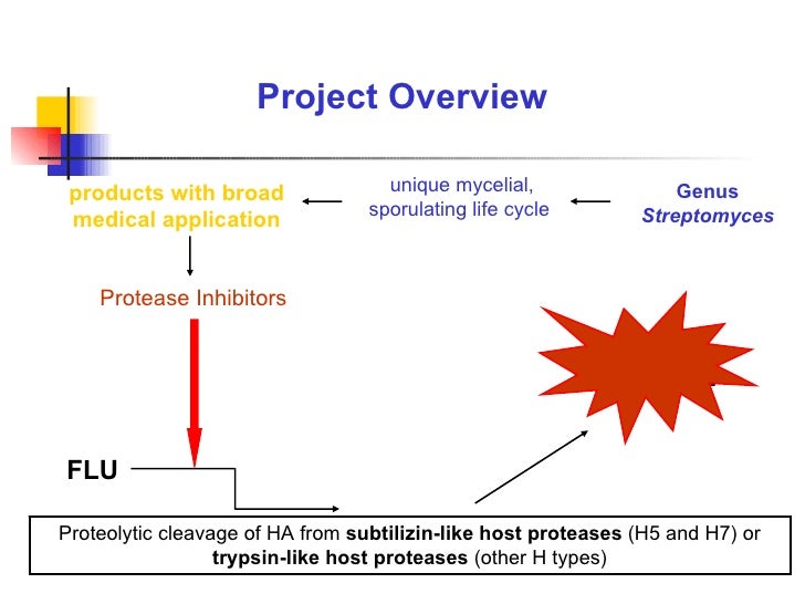 Thesis on streptomyces