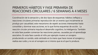 PRIMEROS HÁBITOS Y FASE PRIMARIA DE
REACCIONES CIRCULARES / 6 SEMANAS A 4 MESES
Coordinación de la sensación y de dos tipos de esquemas: hábitos (reflejos) y
reacciones circulares primarias reproducción de un evento que inicialmente se
produjo por casualidad, este mecanismo de repetir acciones interesantes hasta
consolidar y dominar esas acciones, es lo que forma esquemas de acción. La
reacción circular primaria impulsa el desarrollo cognitivo, la inteligencia. También
en esta fase pueden comenzar las reacciones pasivas, causadas por el aprendizaje
asociativo. En esta fase cuando el niño por ejemplo mueve un sonajero
produciendo un sonido, está centrado en la mano que hace mover el sonajero y
realiza ese ruido y no en el sonajero en sí mismo que es el que lo produce.
 