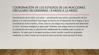 COORDINACIÓN DE LOS ESTADIOS DE LAS REACCIONES
CIRCULARES SECUNDARIAS / 8 MESES A 12 MESES
Coordinación de la visión y el tacto - coordinación ojo-mano, coordinación de los
planes y la intencionalidad. Esta etapa se asocia con el desarrollo de la lógica y de la
coordinación entre medios y fines. Esta es una etapa muy importante del desarrollo,
se da la “primera inteligencia adecuada" Además, esta etapa marca el comienzo de
la orientación de meta, la planificación deliberada de medidas para cumplir un
objetivo. Ya sabe que el sonajero produce cierto sonido cuando es golpeado
mediante su mano, hecho por el que lo hace sucesivas veces porque le atrae.
 