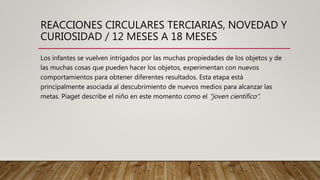 REACCIONES CIRCULARES TERCIARIAS, NOVEDAD Y
CURIOSIDAD / 12 MESES A 18 MESES
Los infantes se vuelven intrigados por las muchas propiedades de los objetos y de
las muchas cosas que pueden hacer los objetos, experimentan con nuevos
comportamientos para obtener diferentes resultados. Esta etapa está
principalmente asociada al descubrimiento de nuevos medios para alcanzar las
metas. Piaget describe el niño en este momento como el "joven científico".
 