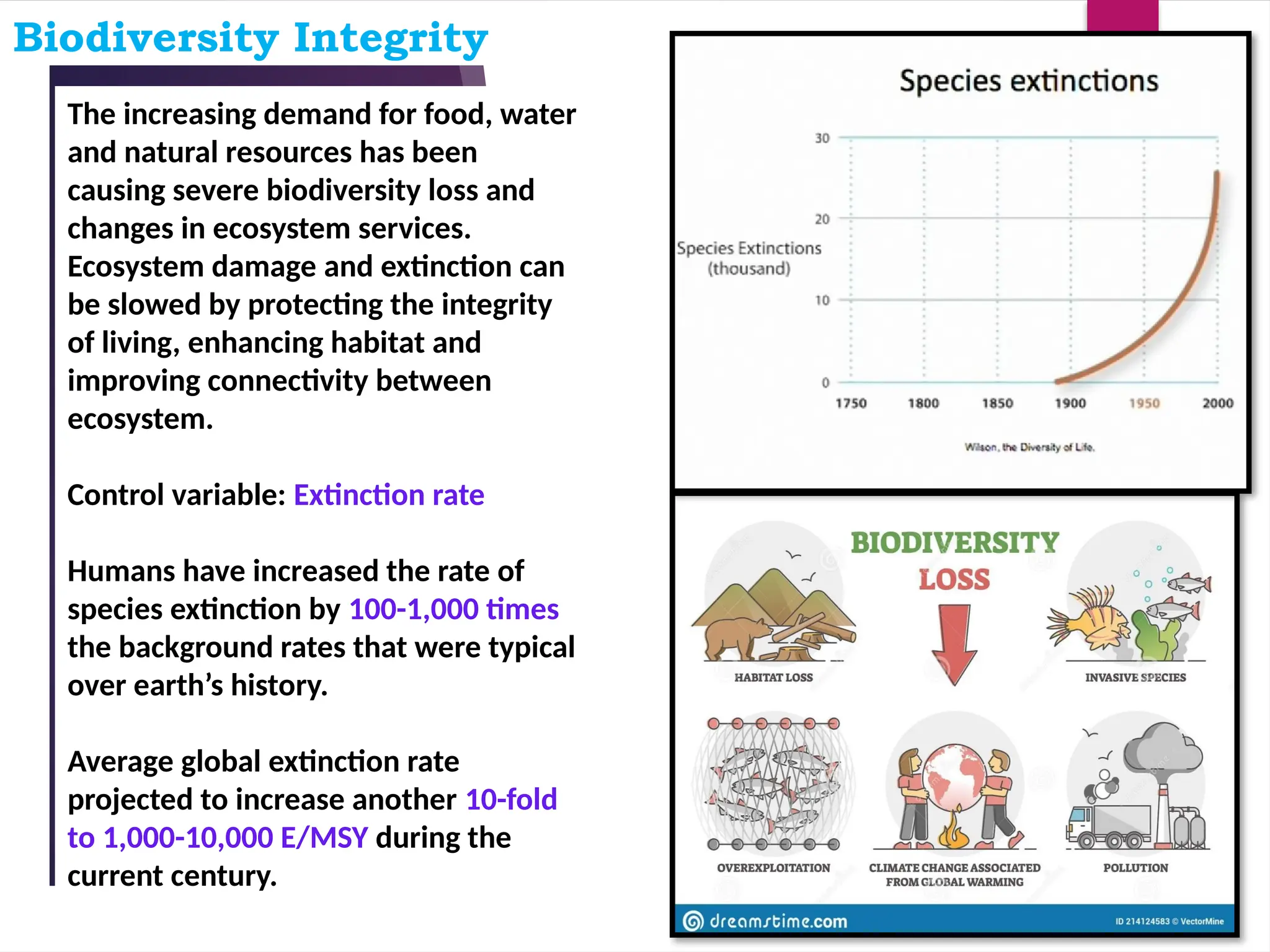 Biodiversity Integrity
•
The increasing demand for food, water
and natural resources has been
causing severe biodiversity loss and
changes in ecosystem services.
Ecosystem damage and extinction can
be slowed by protecting the integrity
of living, enhancing habitat and
improving connectivity between
ecosystem.
Control variable: Extinction rate
Humans have increased the rate of
species extinction by 100-1,000 times
the background rates that were typical
over earth’s history.
Average global extinction rate
projected to increase another 10-fold
to 1,000-10,000 E/MSY during the
current century.
 