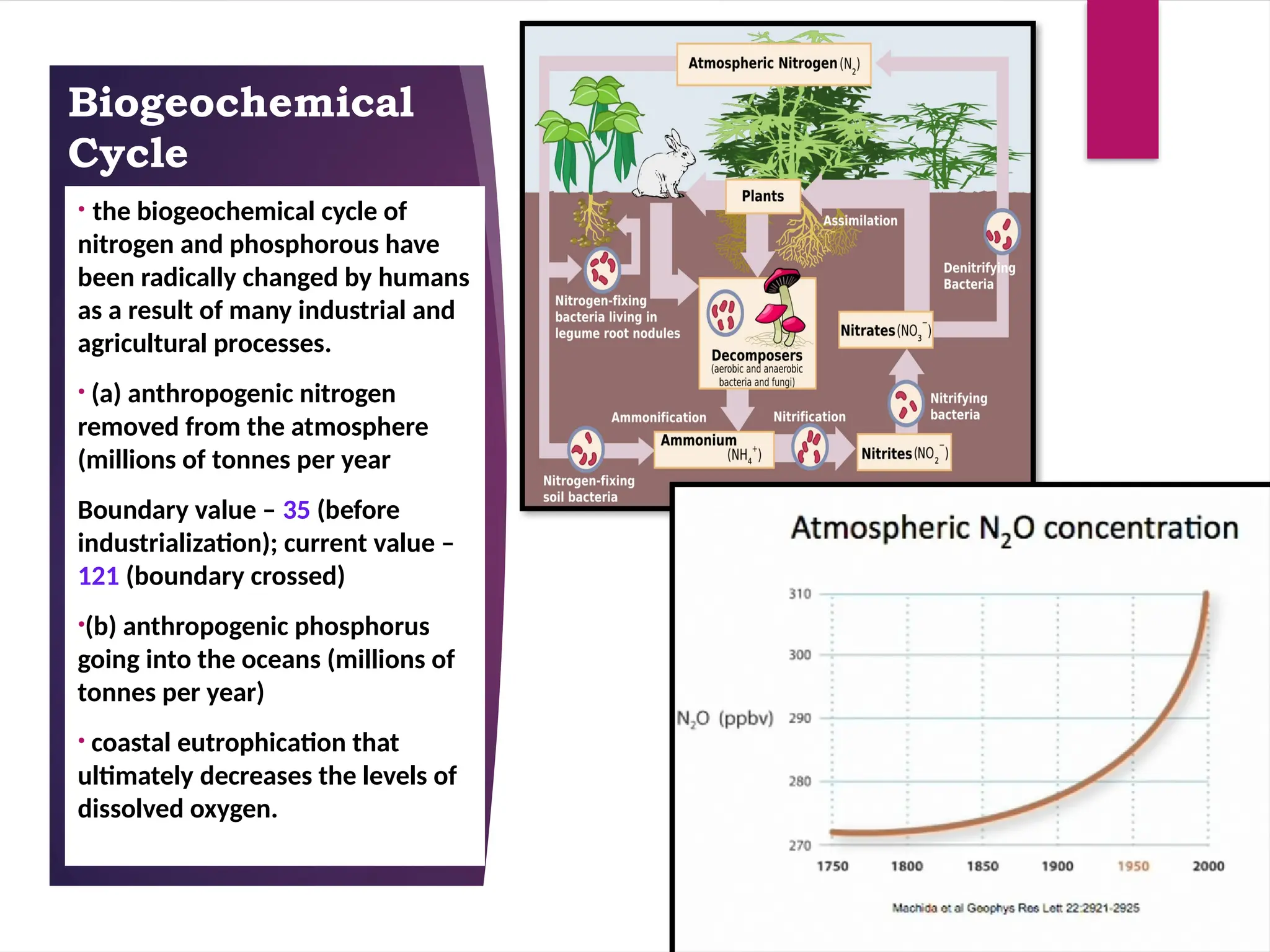 Biogeochemical
Cycle
• the biogeochemical cycle of
nitrogen and phosphorous have
been radically changed by humans
as a result of many industrial and
agricultural processes.
• (a) anthropogenic nitrogen
removed from the atmosphere
(millions of tonnes per year
Boundary value – 35 (before
industrialization); current value –
121 (boundary crossed)
•(b) anthropogenic phosphorus
going into the oceans (millions of
tonnes per year)
• coastal eutrophication that
ultimately decreases the levels of
dissolved oxygen.
 