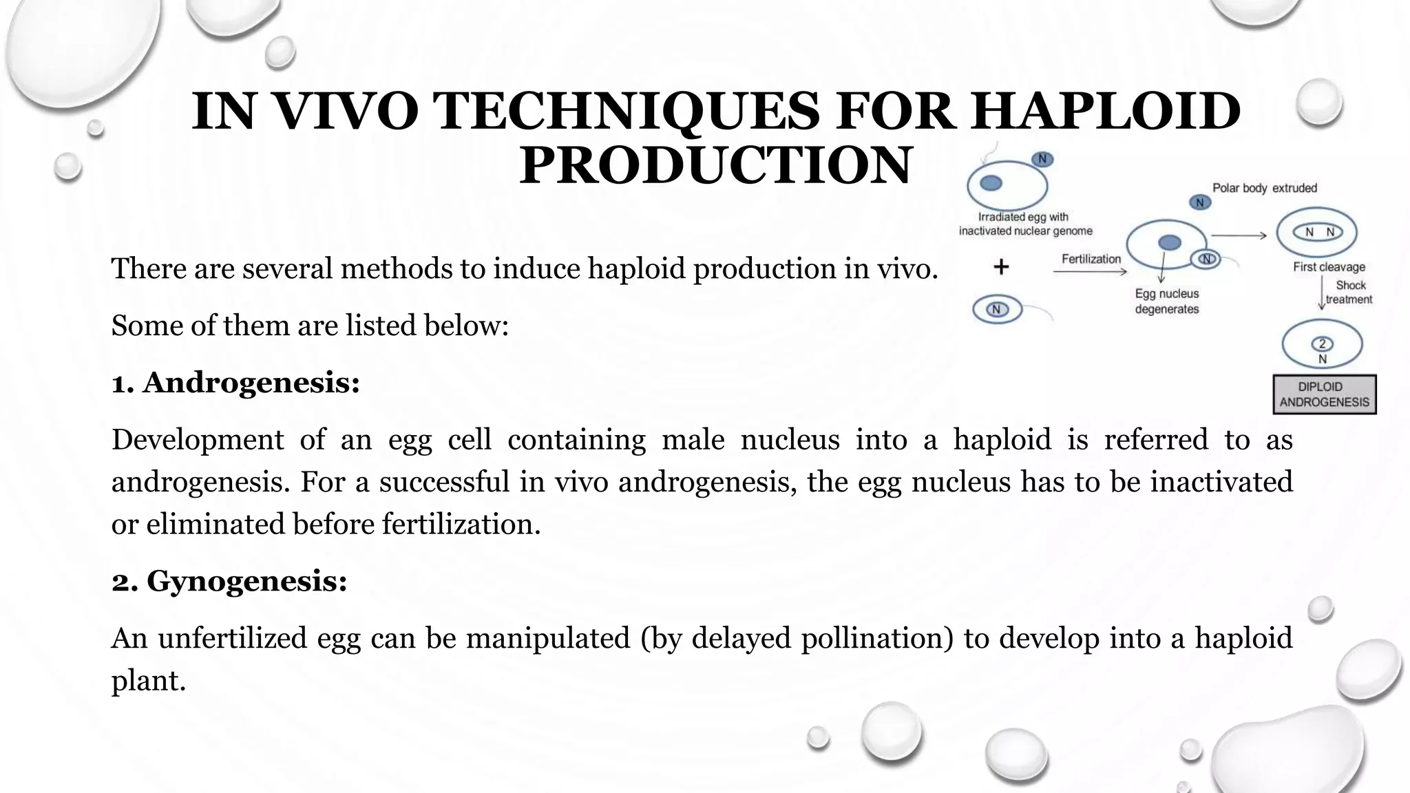 PRODUCTION OF HAPLOID PLANTS AND HOMOZYGOUS DIPLOID LINES | PPTX