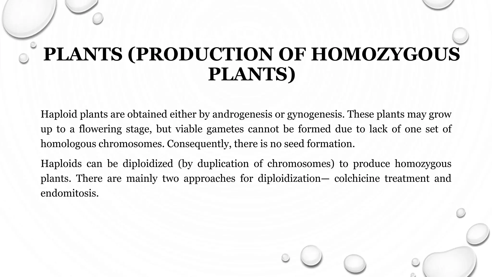 PRODUCTION OF HAPLOID PLANTS AND HOMOZYGOUS DIPLOID LINES | PPTX