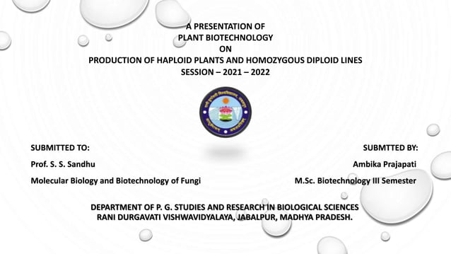 PRODUCTION OF HAPLOID PLANTS AND HOMOZYGOUS DIPLOID LINES | PPTX ...