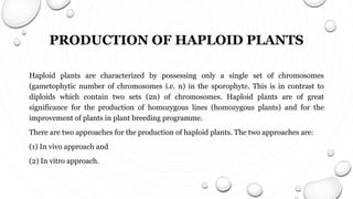 PRODUCTION OF HAPLOID PLANTS AND HOMOZYGOUS DIPLOID LINES | PPTX