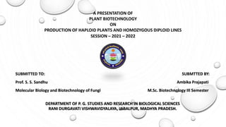 A PRESENTATION OF
PLANT BIOTECHNOLOGY
ON
PRODUCTION OF HAPLOID PLANTS AND HOMOZYGOUS DIPLOID LINES
SESSION – 2021 – 2022
SUBMITTED TO: SUBMTTED BY:
Prof. S. S. Sandhu Ambika Prajapati
Molecular Biology and Biotechnology of Fungi M.Sc. Biotechnology III Semester
DEPARTMENT OF P. G. STUDIES AND RESEARCH IN BIOLOGICAL SCIENCES
RANI DURGAVATI VISHWAVIDYALAYA, JABALPUR, MADHYA PRADESH.
 