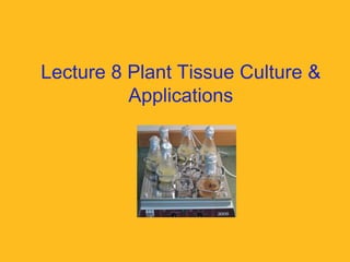 Lecture 8 Plant Tissue Culture &
Applications
 