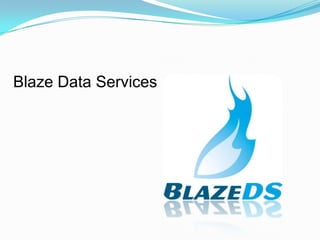 Blaze Data Services  