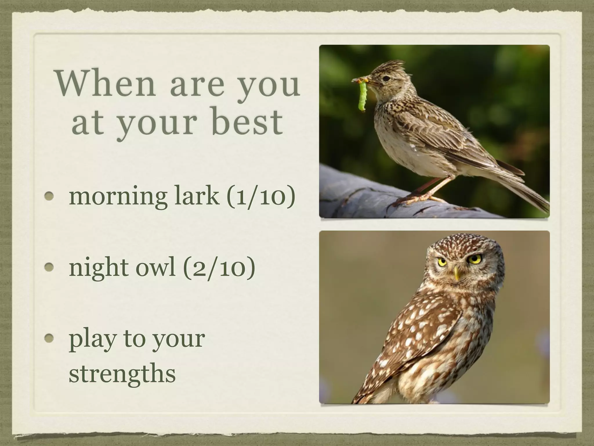 morning lark (1/10)
night owl (2/10)
play to your
strengths
When are you
at your best
 