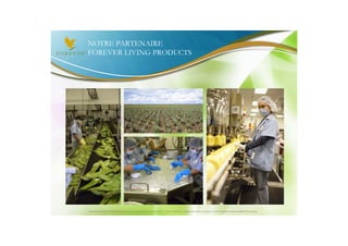 NOTRE PARTENAIRE
FOREVER LIVING PRODUCTS




Document à USAGE INTERNE émis par Forever Living Products France 06/2012 – Toute modification ou détournement de ce support n’est pas autorisé et serait passible de poursuites.
 