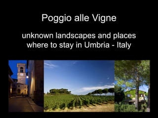 Poggio alle Vigne unknown landscapes and places where to stay in Umbria - Italy 