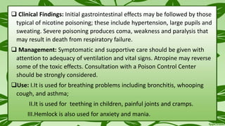  Clinical Findings: Initial gastrointestinal effects may be followed by those
typical of nicotine poisoning; these include hypertension, large pupils and
sweating. Severe poisoning produces coma, weakness and paralysis that
may result in death from respiratory failure.
 Management: Symptomatic and supportive care should be given with
attention to adequacy of ventilation and vital signs. Atropine may reverse
some of the toxic effects. Consultation with a Poison Control Center
should be strongly considered.
Use: I.It is used for breathing problems including bronchitis, whooping
cough, and asthma;
II.It is used for teething in children, painful joints and cramps.
III.Hemlock is also used for anxiety and mania.
 