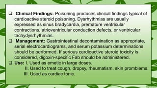  Clinical Findings: Poisoning produces clinical ﬁndings typical of
cardioactive steroid poisoning. Dysrhythmias are usually
expressed as sinus bradycardia, premature ventricular
contractions, atrioventricular conduction defects, or ventricular
tachydysrhythmias.
 Management: Gastrointestinal decontamination as appropriate,
serial electrocardiograms, and serum potassium determinations
should be performed. If serious cardioactive steroid toxicity is
considered, digoxin-speciﬁc Fab should be administered.
 Use: I. Used as emetic in large doses.
II. Used to treat cough, dropsy, rheumatism, skin promblems.
III. Used as cardiac tonic.
 