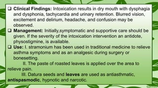  Clinical Findings: Intoxication results in dry mouth with dysphagia
and dysphonia, tachycardia and urinary retention. Blurred vision,
excitement and delirium, headache, and confusion may be
observed.
 Management: Initially,symptomatic and supportive care should be
given. If the severity of the intoxication intervention an antidote,
physostigmine, is available.
 Use: I. stramonium has been used in traditional medicine to relieve
asthma symptoms and as an analgesic during surgery or
bonesetting.
II. The paste of roasted leaves is applied over the area to
relieve pain.
III. Datura seeds and leaves are used as antiasthmatic,
antispasmodic, hypnotic and narcotic.
 